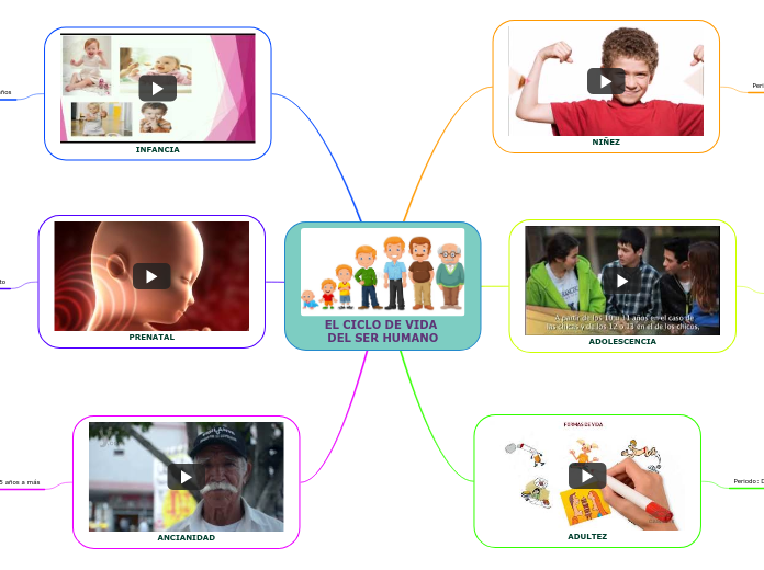 EL CICLO DE VIDA DEL SER HUMANO Mind Map